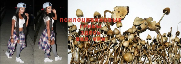 гашишное масло Алзамай