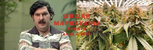 spice Абаза