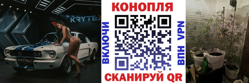 Марихуана сатива  Ковдор 